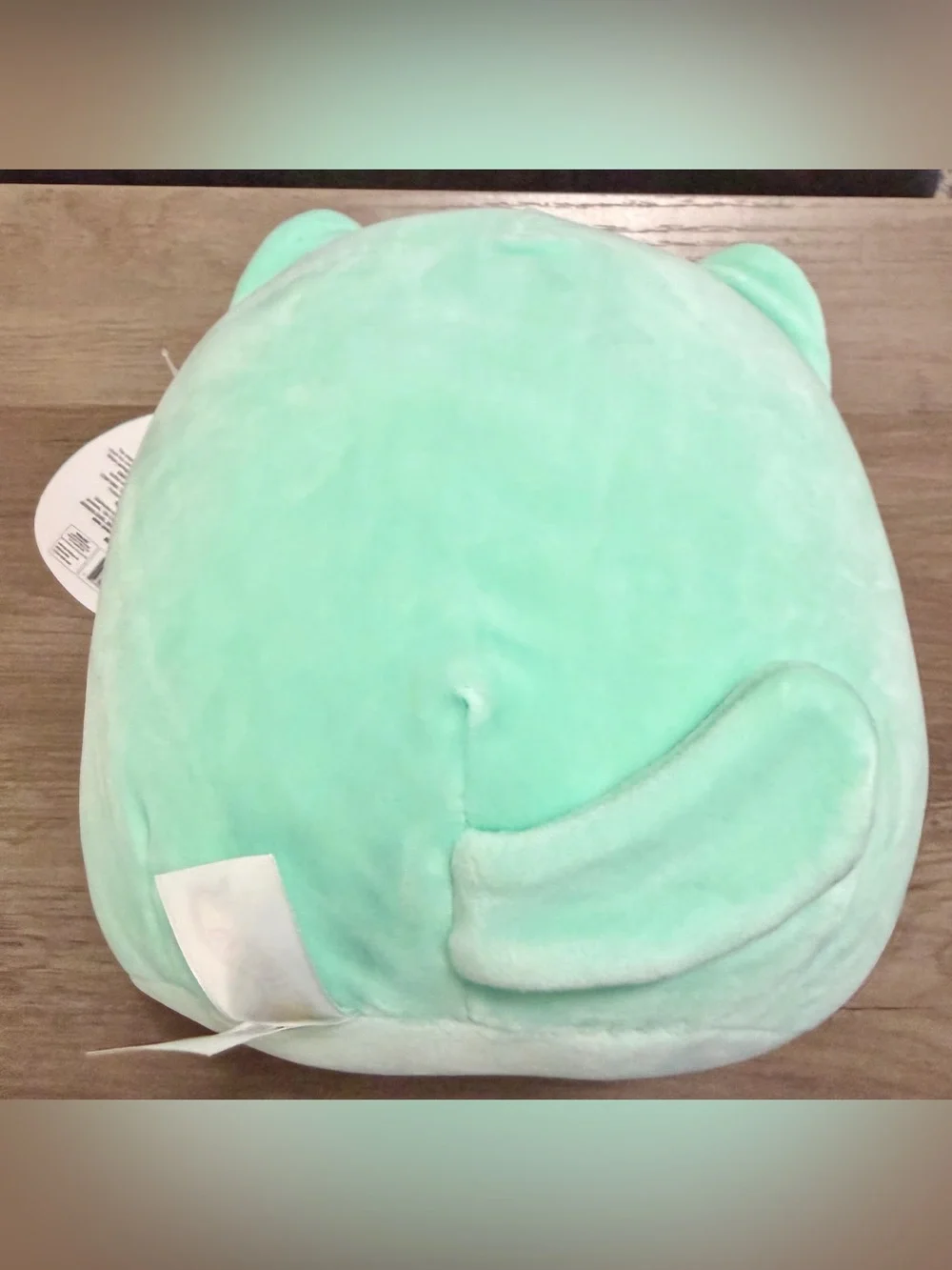 NWT Squishmallows Corinna the Teal Tabby Cat 8